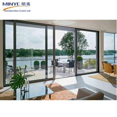 Materiale principale Aluminico allogio interno porta scorrevole di sicurezza personalizzata con fly screen