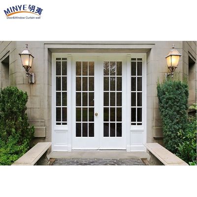 Porte di ingresso Profili di alluminio Vetro Porte d'ingresso per appartamenti moderni e eleganti