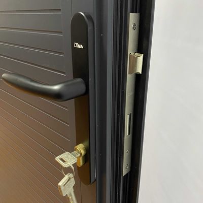 Modern Design Europe Porta di sicurezza in acciaio con serrature Cerniere e accessori a manico