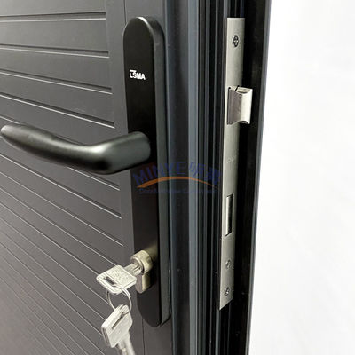 Modern Design Europe Porta di sicurezza in acciaio con serrature Cerniere e accessori a manico
