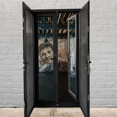 Porta a doppia apertura a colori personalizzati per porte di casamento francesi che migliorano la ventilazione e l'estetica