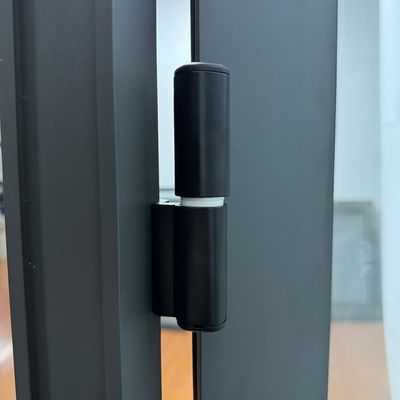 Fibra di vetro schermo rete materiale vetro porta a dondolo negozio Villa Soluzione di progettazione grafica