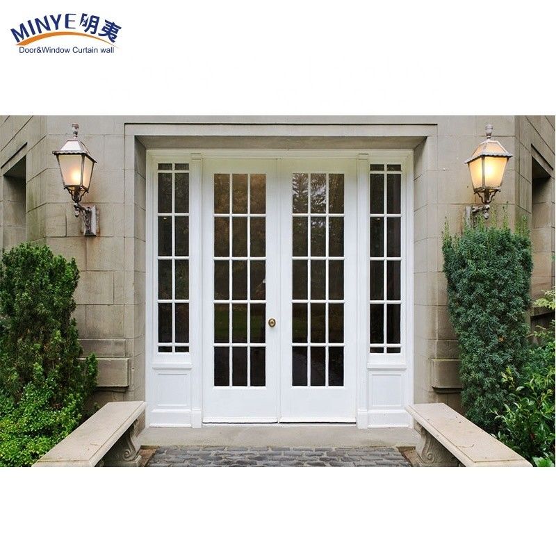 Porte di ingresso Profili di alluminio Vetro Porte d'ingresso per appartamenti moderni e eleganti